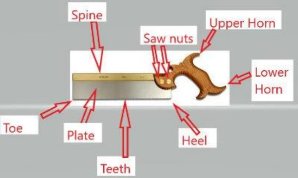 news-731-439 news-731-439