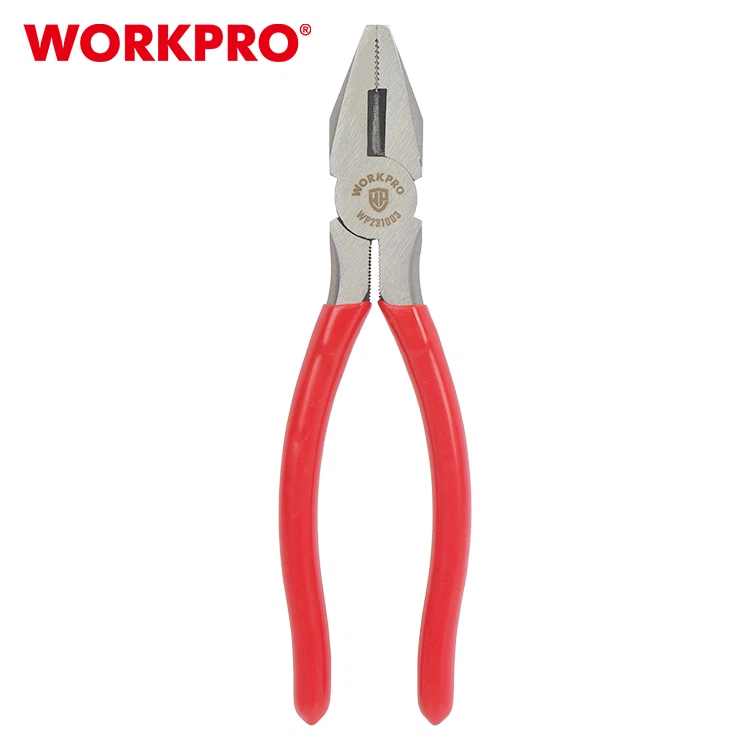 WP231003-1 WP231003-1