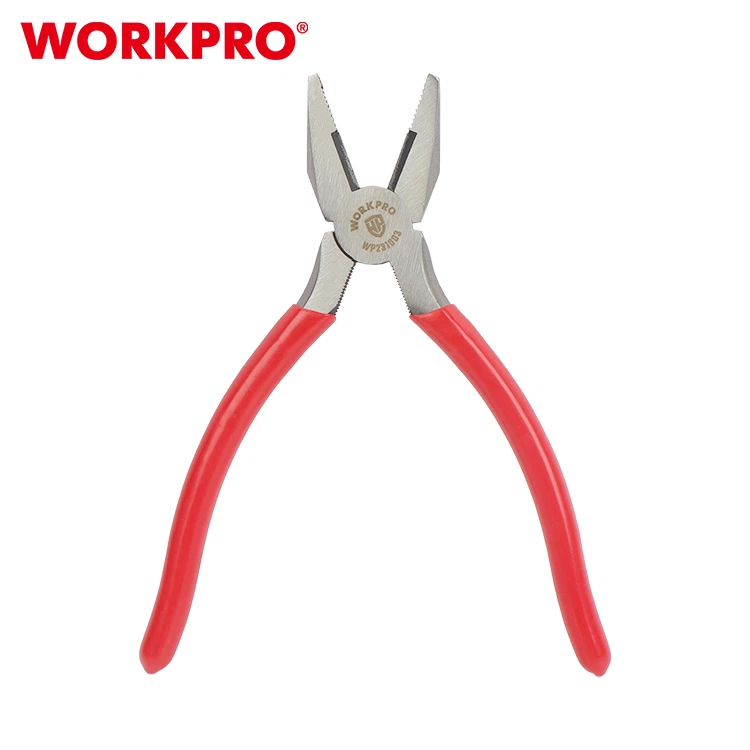 WP231003-2 WP231003-2