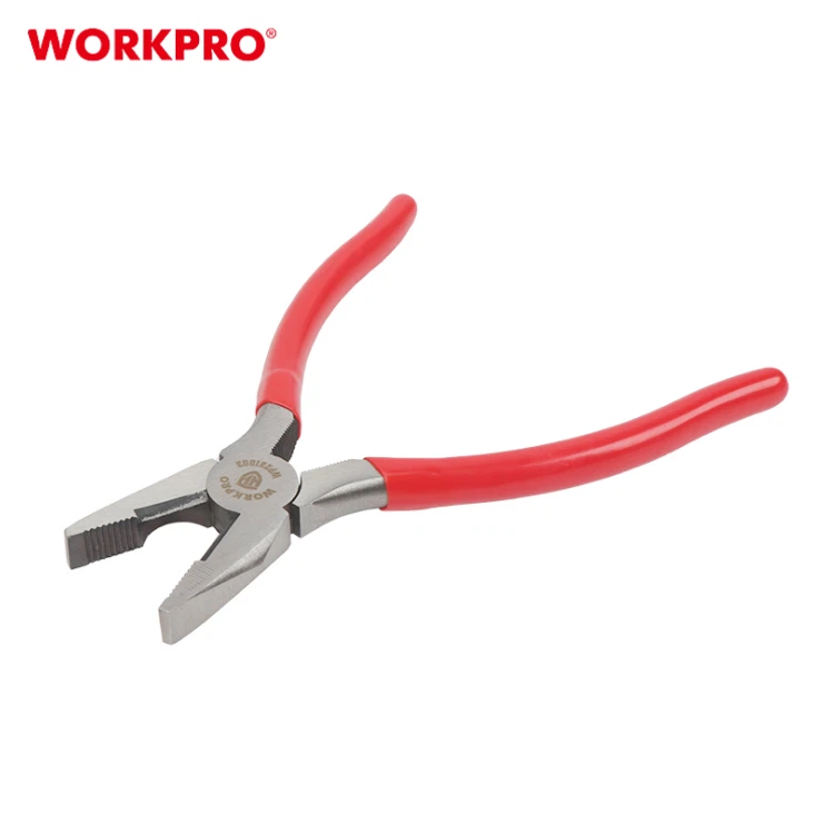 WP231003-3 WP231003-3